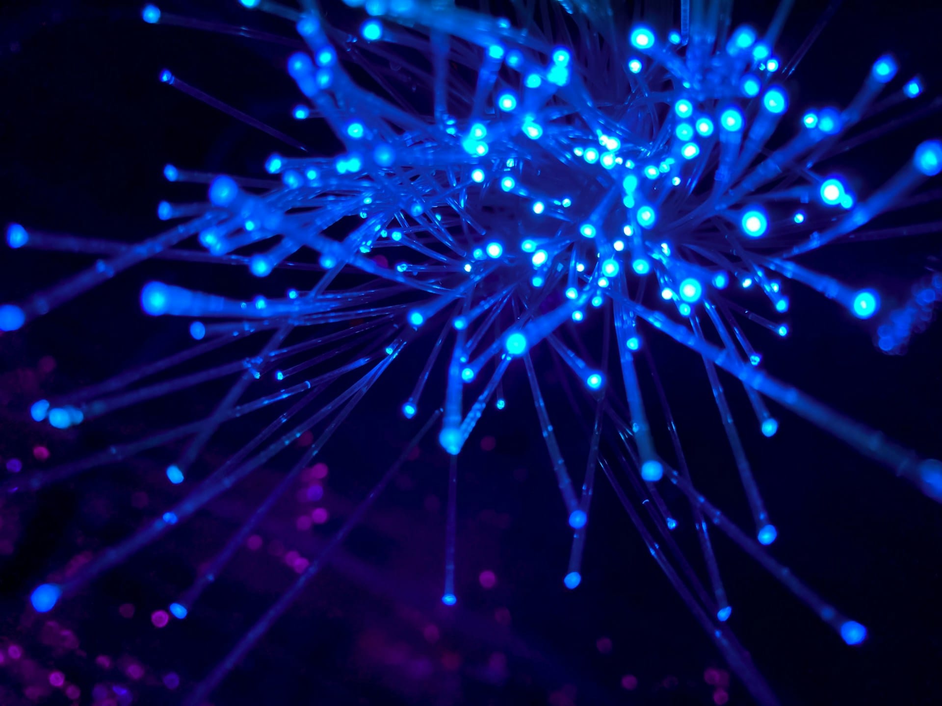 Fibre optic cables full of light on a dark background